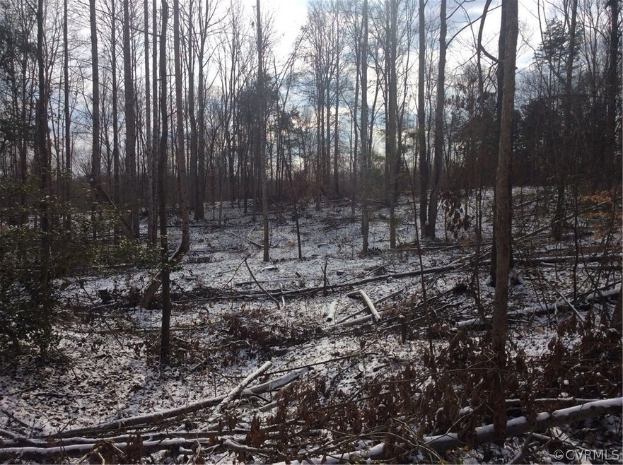 11 Bannister Town Rd, Louisa, VA 23093 - photo 1