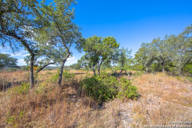00 Scenic Loop Rd, San Antonio, TX 78255 - photo 1