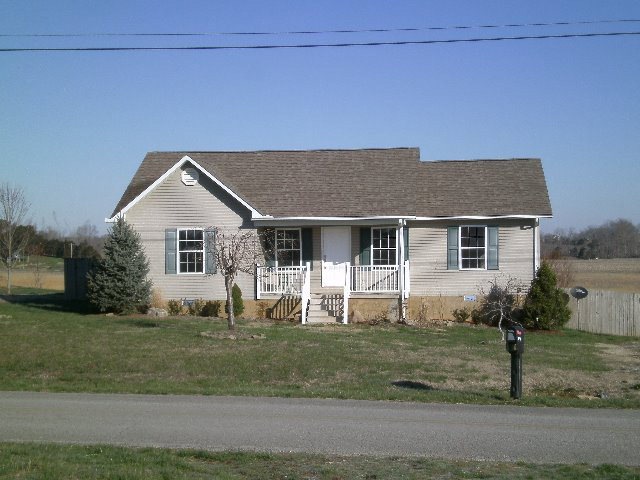 Main View