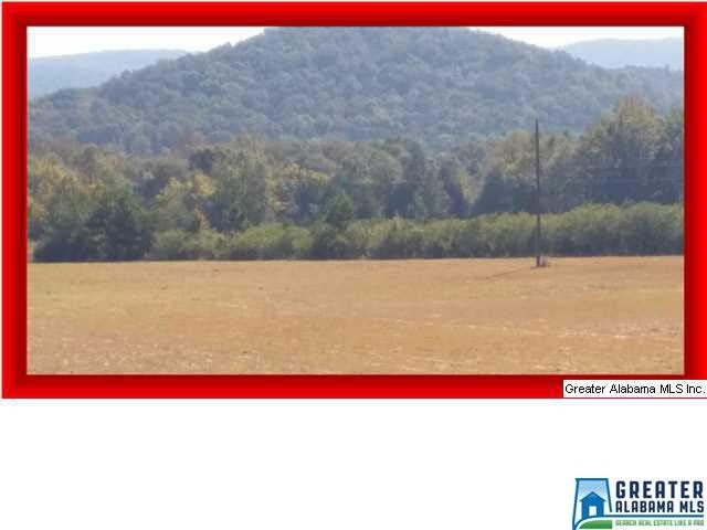 50+/- acres of pasture land, with a few wooded are