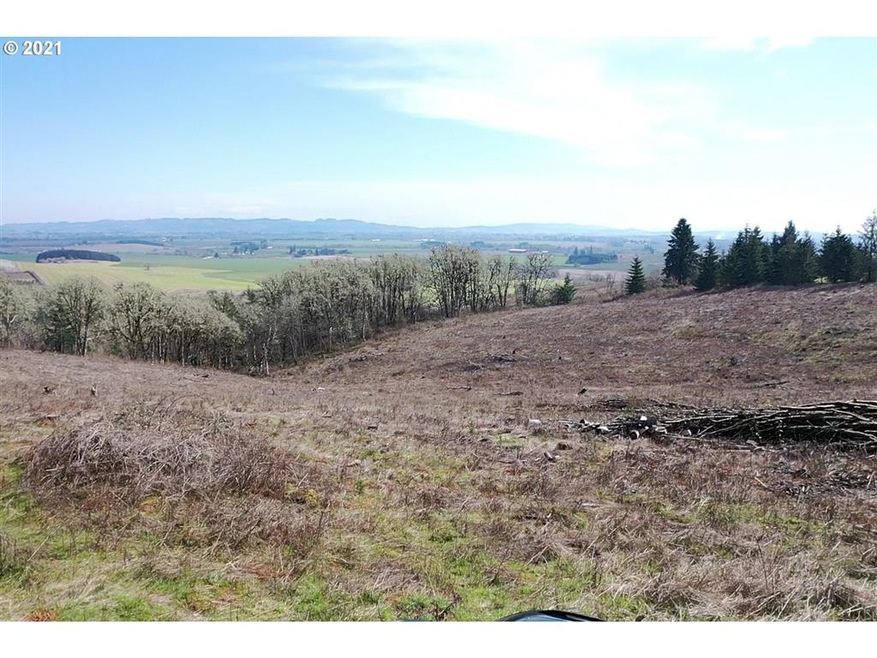 0 Red Hawk Ln unit 3 21170025, Sheridan, OR 97378 - photo 1