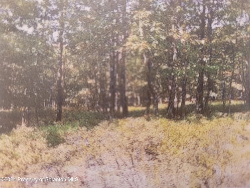 LV-277 Laurel Valley Rd, Hazle Township, PA 18202 - photo 1