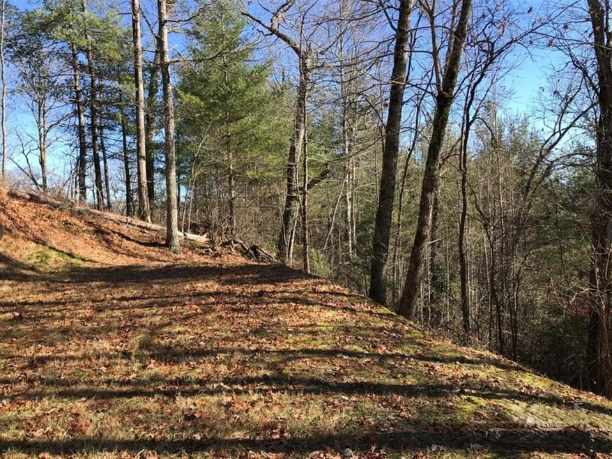 0 Saturn Way unit 26041777, Topton, NC 28781 - photo 1