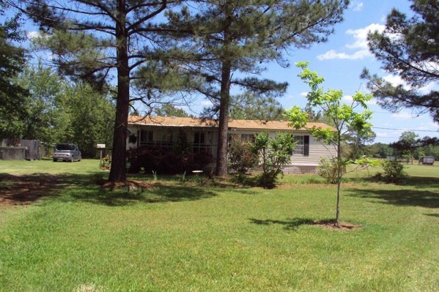 Main View