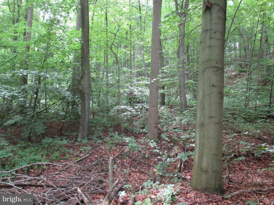 1534 Creek Rd, Glenmoore, PA 19343 - photo 1