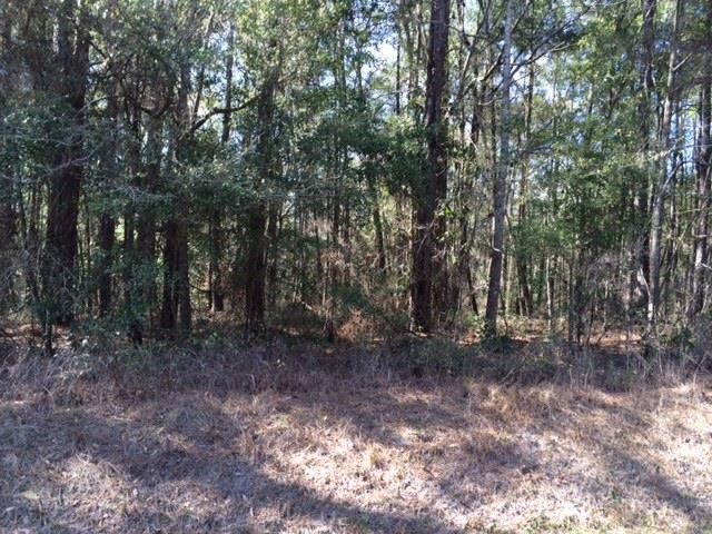 xx Deer Run Rd, Havana, FL 32333 - photo 1