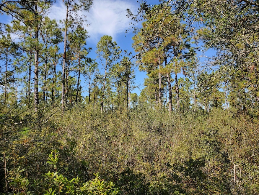 0 SW Brown Rd, Lee, FL 32059 - photo 1
