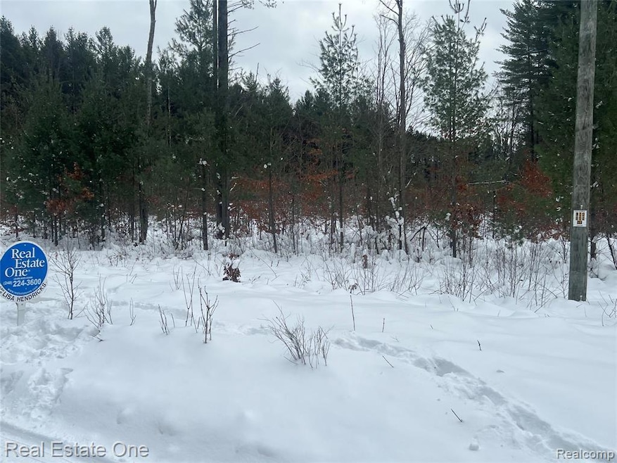 V/L 1 Mile Rd, Ellsworth Township, MI 49655 - photo 1