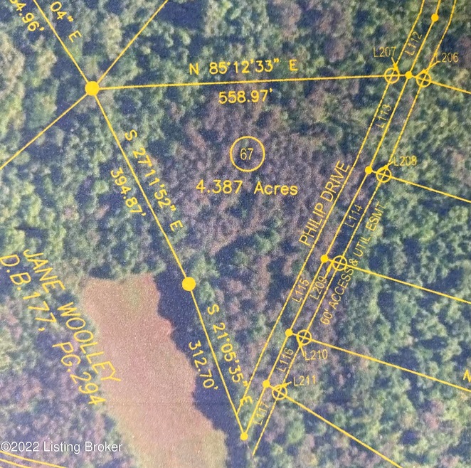 Lot View of Survey Plat
