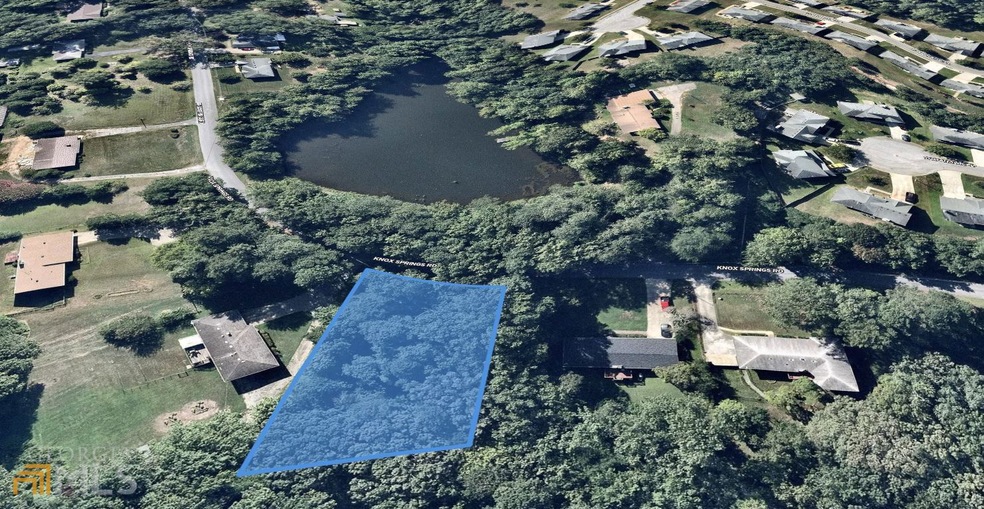 800 Knox Springs Rd, Know Springs, GA 30168 - photo 1