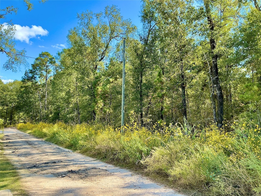 TBA Wendy Way, West Livingston, TX 77351 - photo 1