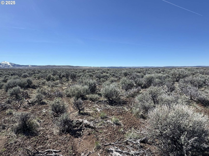 0 Plush Cutoff Rd unit 3100 179877644, Adel, OR 97620 - photo 1