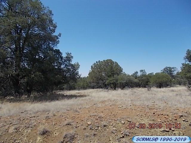0 Wilmot Rd, Silver City, NM 88061 - photo 1