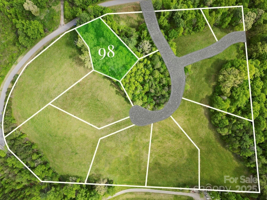 17 French Broad River Way unit 98, Asheville, NC 28804 - photo 1