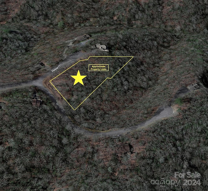 TBD Elaqua Ct unit 54 & 55A/26, Brevard, NC 28712 - photo 1