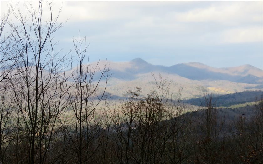 Main View