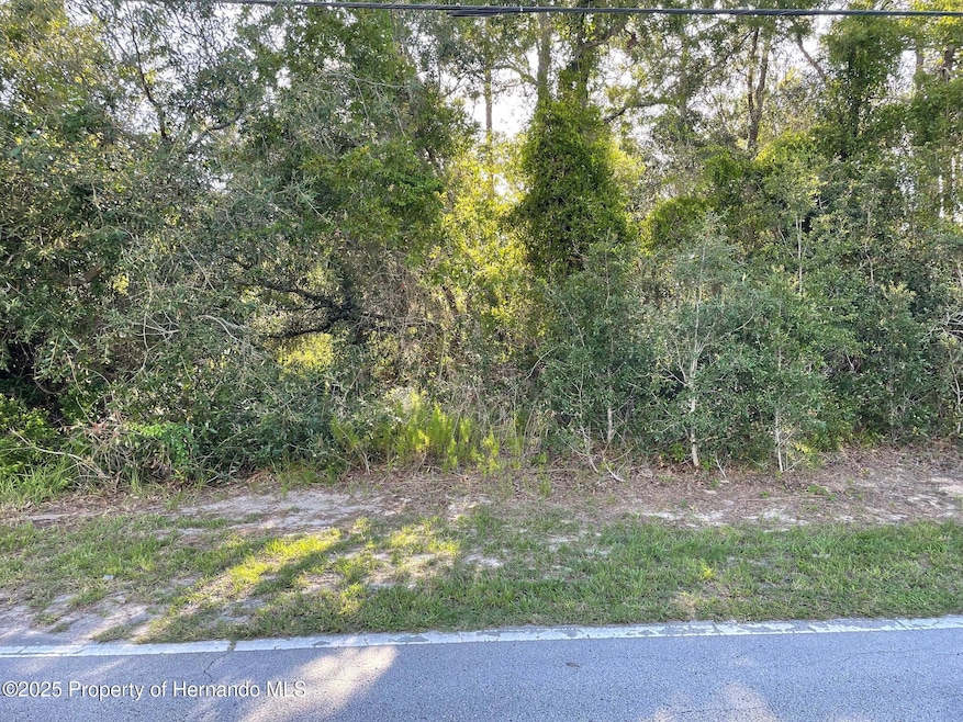 8217 Nightingale Rd, Weeki Wachee, FL 34613 - photo 1