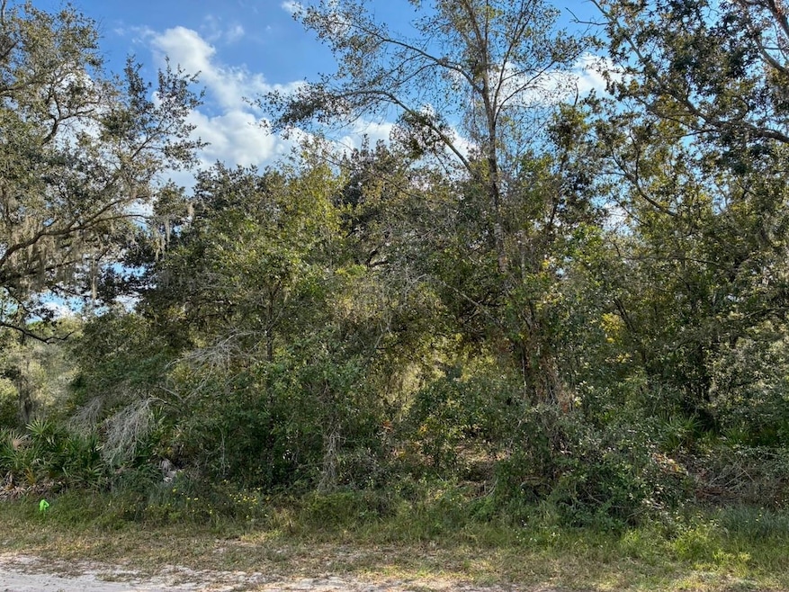 Lot 14, Block 75 Park Ave, Lake Wales, FL 33855 - photo 1