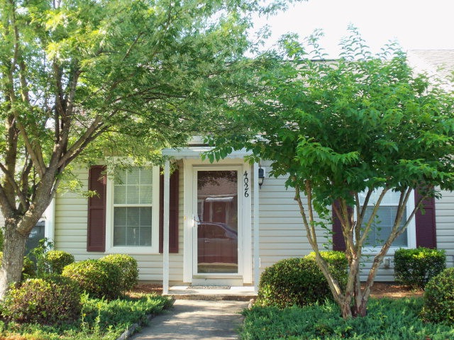 Main View