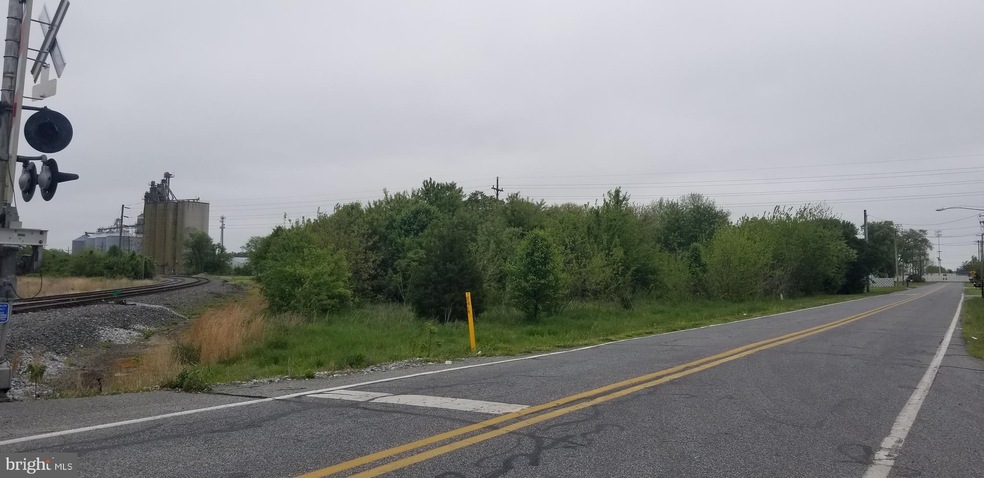 203 Road 350, Harrington, DE 19952 - photo 1