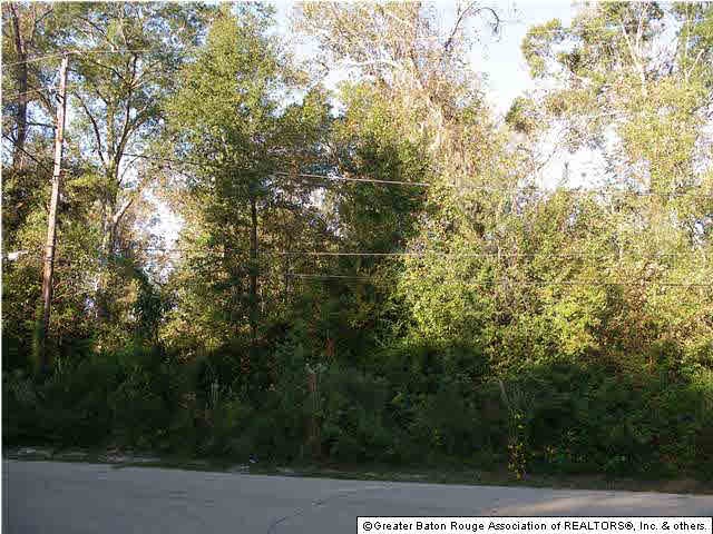 Residential lot in established neighborhood.