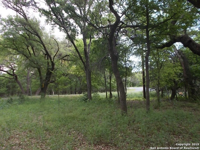 24802 N Saddle Trail, San Antonio, TX 78255 - photo 1