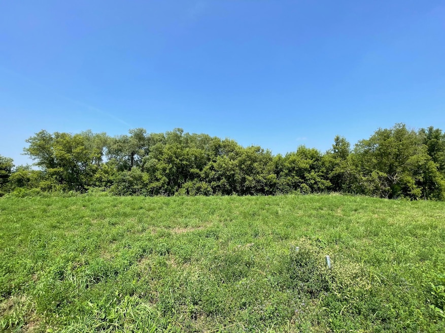 1413 Somerby Pkwy NE, Byron, MN 55920 - photo 1