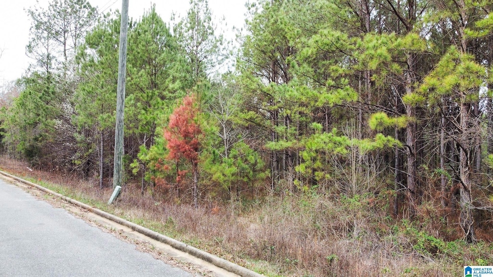 0 Stonegate Cir unit 21429355, Lincoln, AL 35096 - photo 1