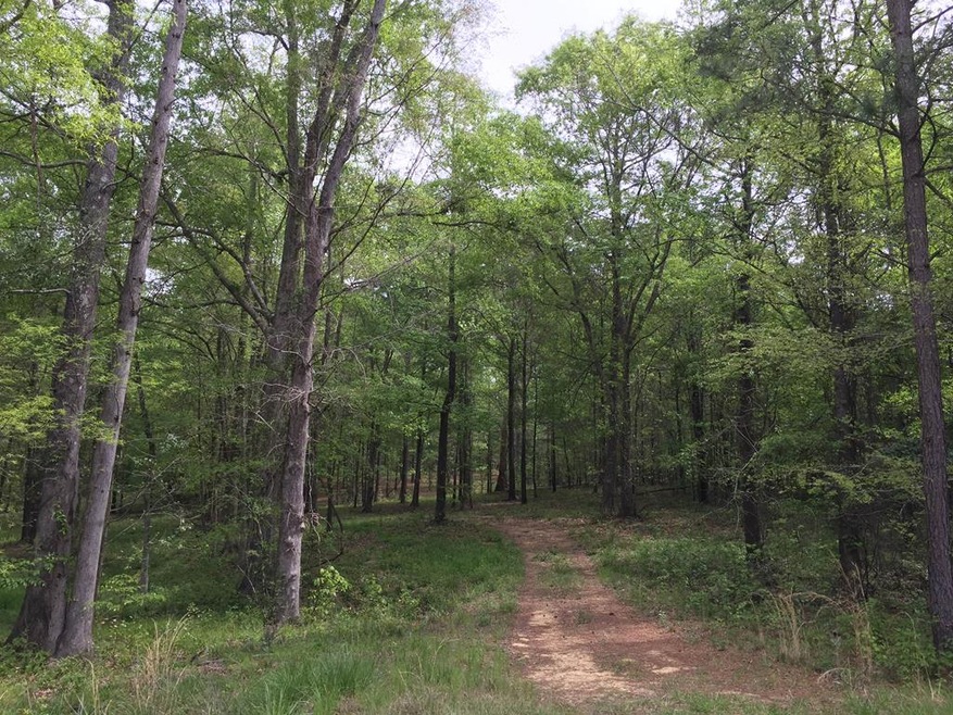 3.78 Ac Morningside Dr, Lincolnton, GA 30817 - photo 1