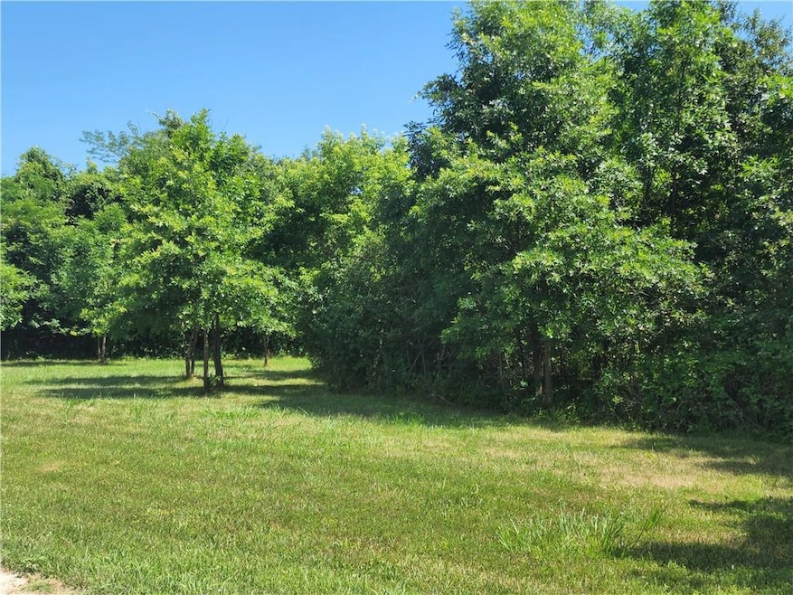 10 Acres 209th St, Kingsville, MO 64061 - photo 1