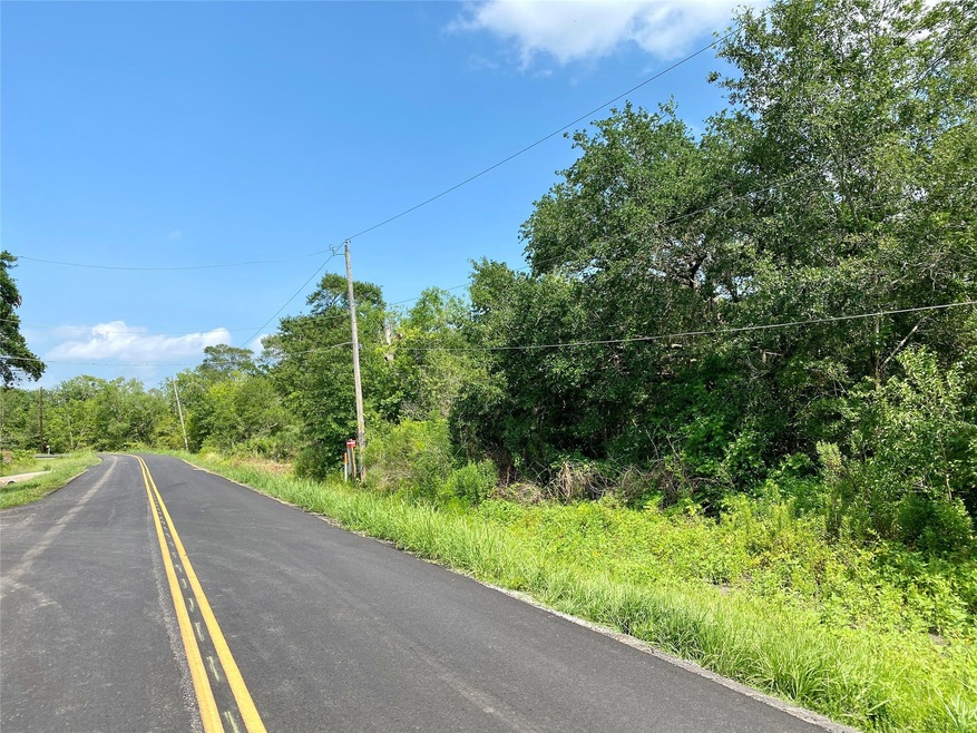 0 Ramble Wood Dr unit 82524722, Brazoria, TX 77422 - photo 1