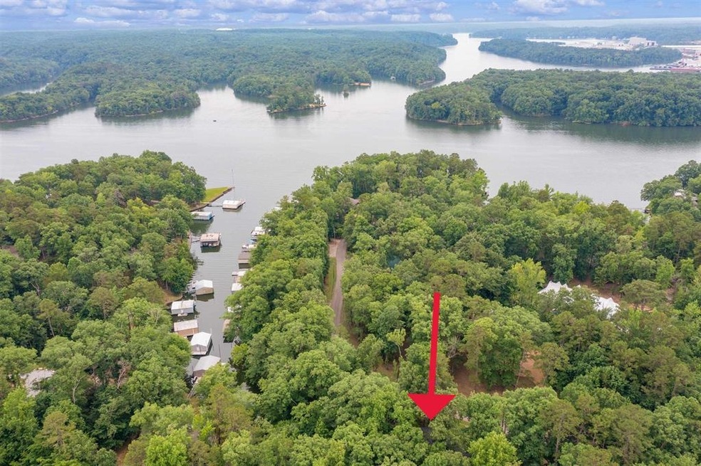 Drone / aerial view featuring a water view and a f