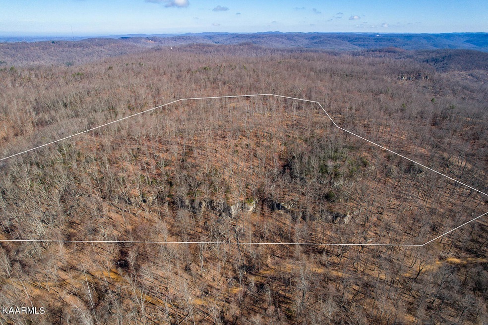 48AC Long Hollow Rd, Cookeville, TN 38501 - photo 1