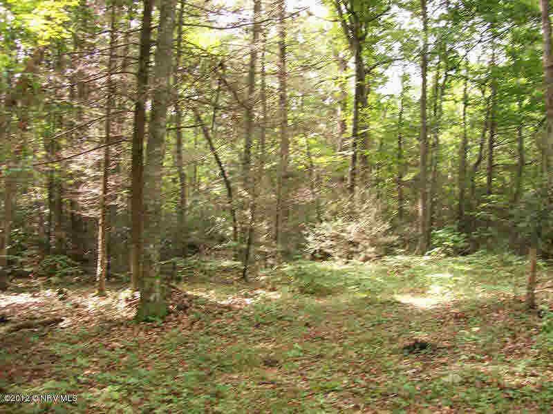 TBD Little Creek, Bland, VA 24315 - photo 1