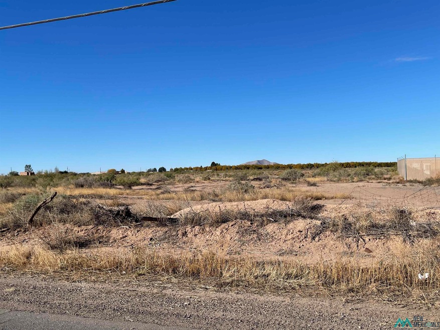 xxxx S 8th St, Deming, NM 88030 - photo 1