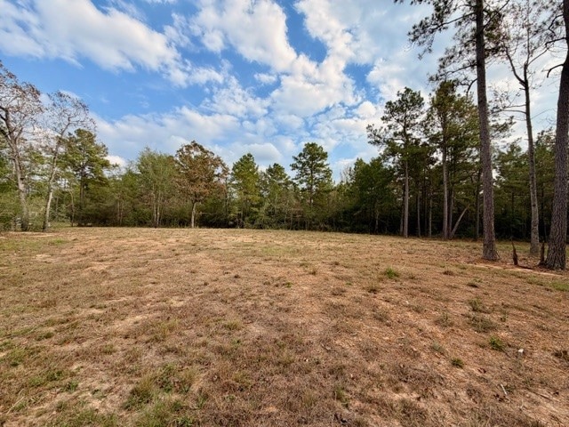 7629 Trinity Pines Dr, Montgomery, TX 77316 - photo 1