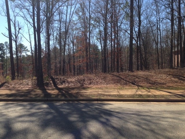 729 Dunblane Dr, Macon, GA 31210 - photo 1