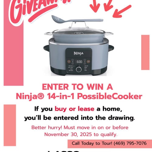 For Rent $1,119/month