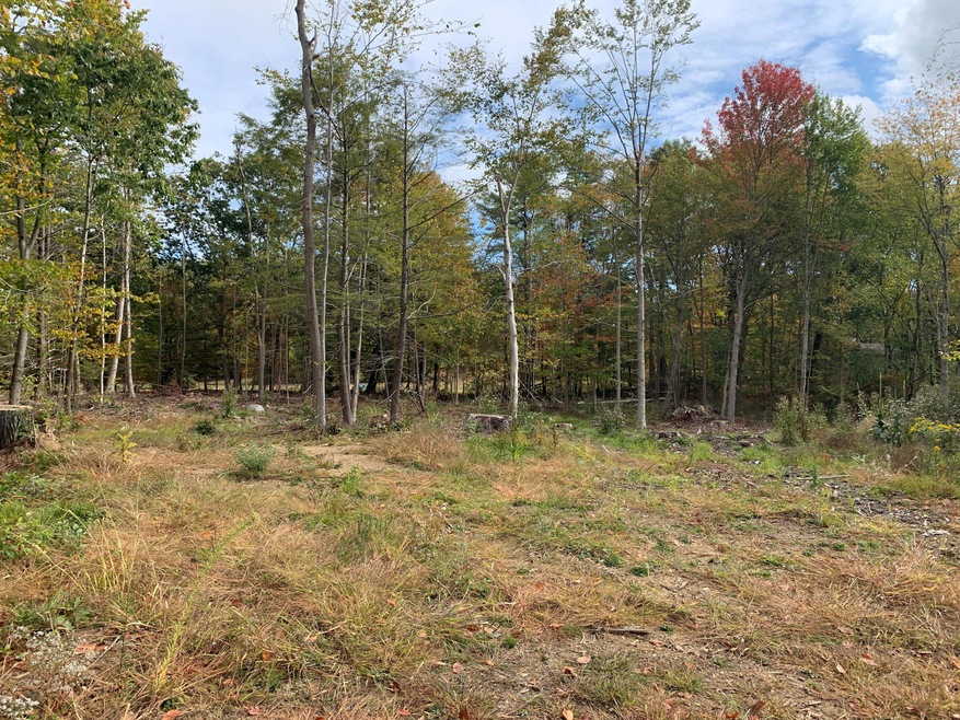 Front Left of Lot by Surry