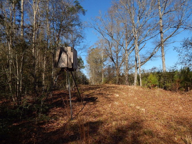 0 Magee Hill Rd, Tylertown, MS 39667 - photo 1