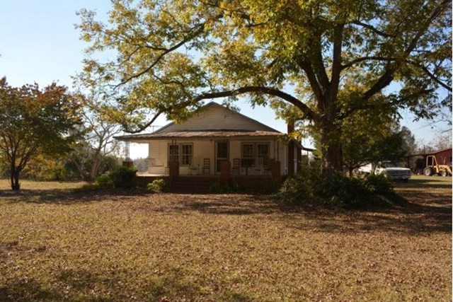 Main View