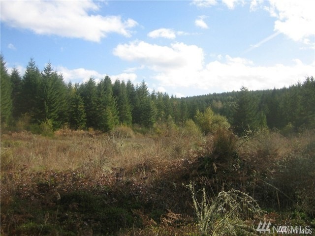 518 364th St E, Roy, WA 98580 - photo 1
