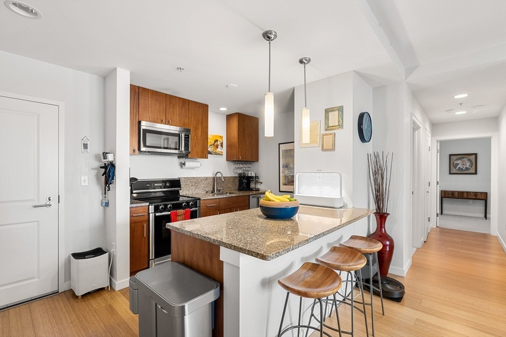 Audubon Park unit 505, Boston, MA 02215 - photo 1