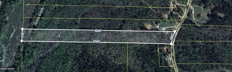 1770 Sweet Lips Rd, Henderson, TN 38340 - photo 1