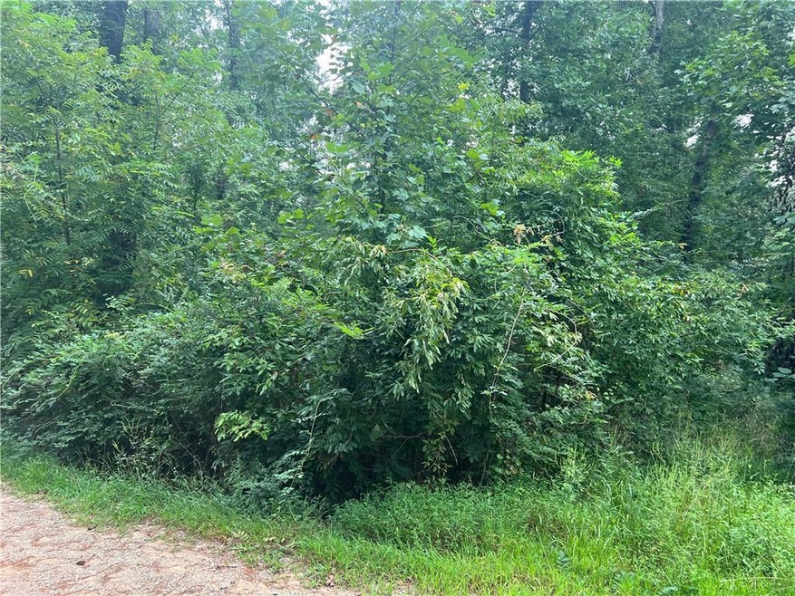 View of nature with a forest view