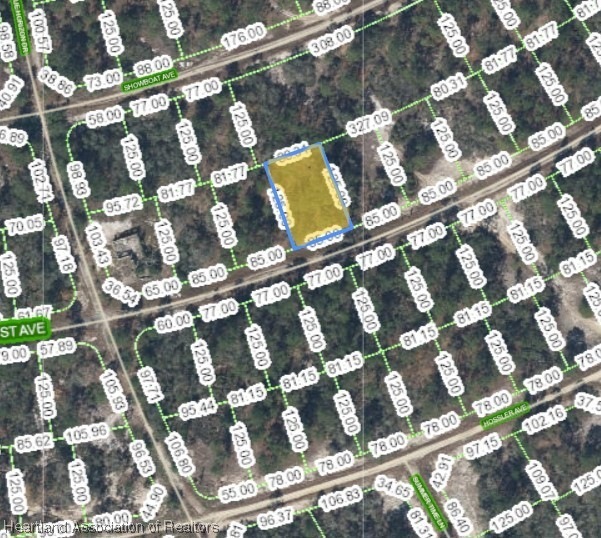 386 Stardust Ave, Lake Placid, FL 33852 - photo 1