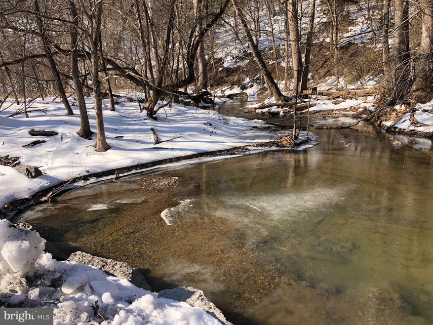 0 Riding Chapel Rd unit VAWR2002012, Stephens City, VA 22655 - photo 1