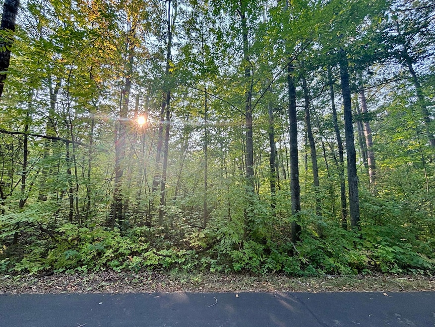 .55A On N Scipio Ave, Bass Lake, WI 54843 - photo 1