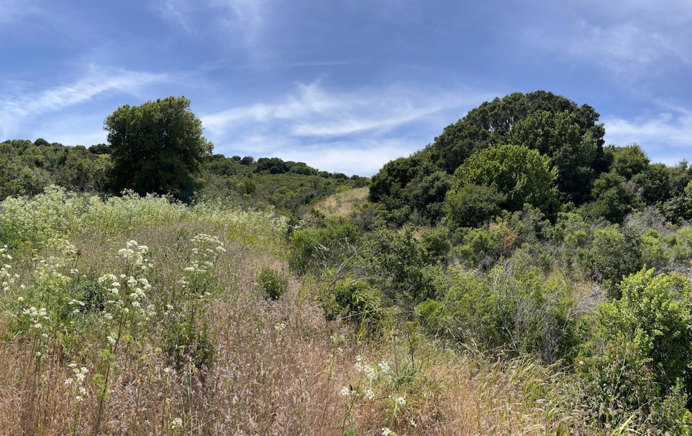 00 Knobcone Dr, Richmond, CA 94803 - photo 1