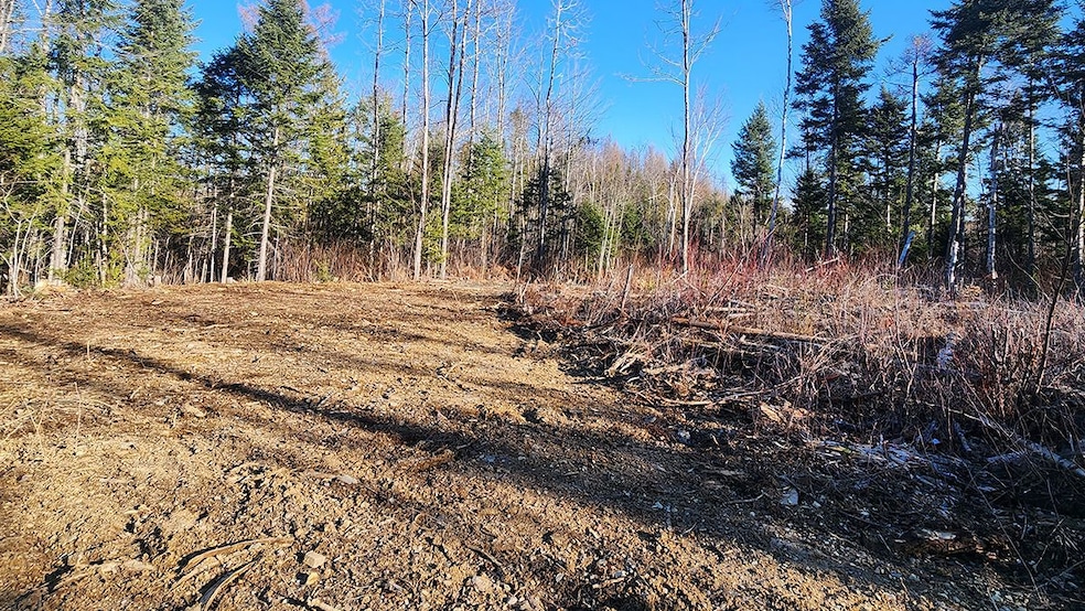 Crystal Rd, Crystal, ME 04747 - photo 1